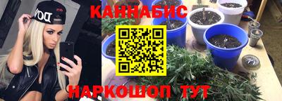 каннабис Гусев