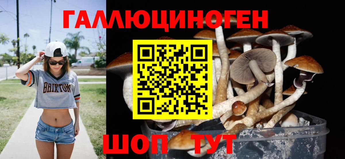 Псилоцибиновые грибы мухоморы Заинск
