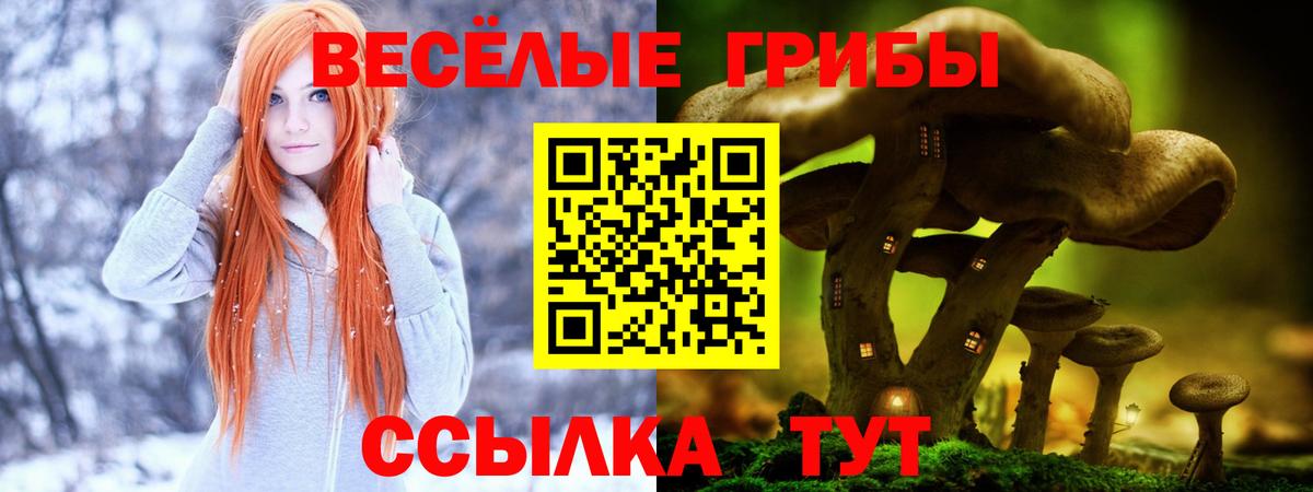 Галлюциногенные грибы Psilocybine cubensis  Псилоцибиновые грибы мухоморы  Заинск  Вход с VPN 